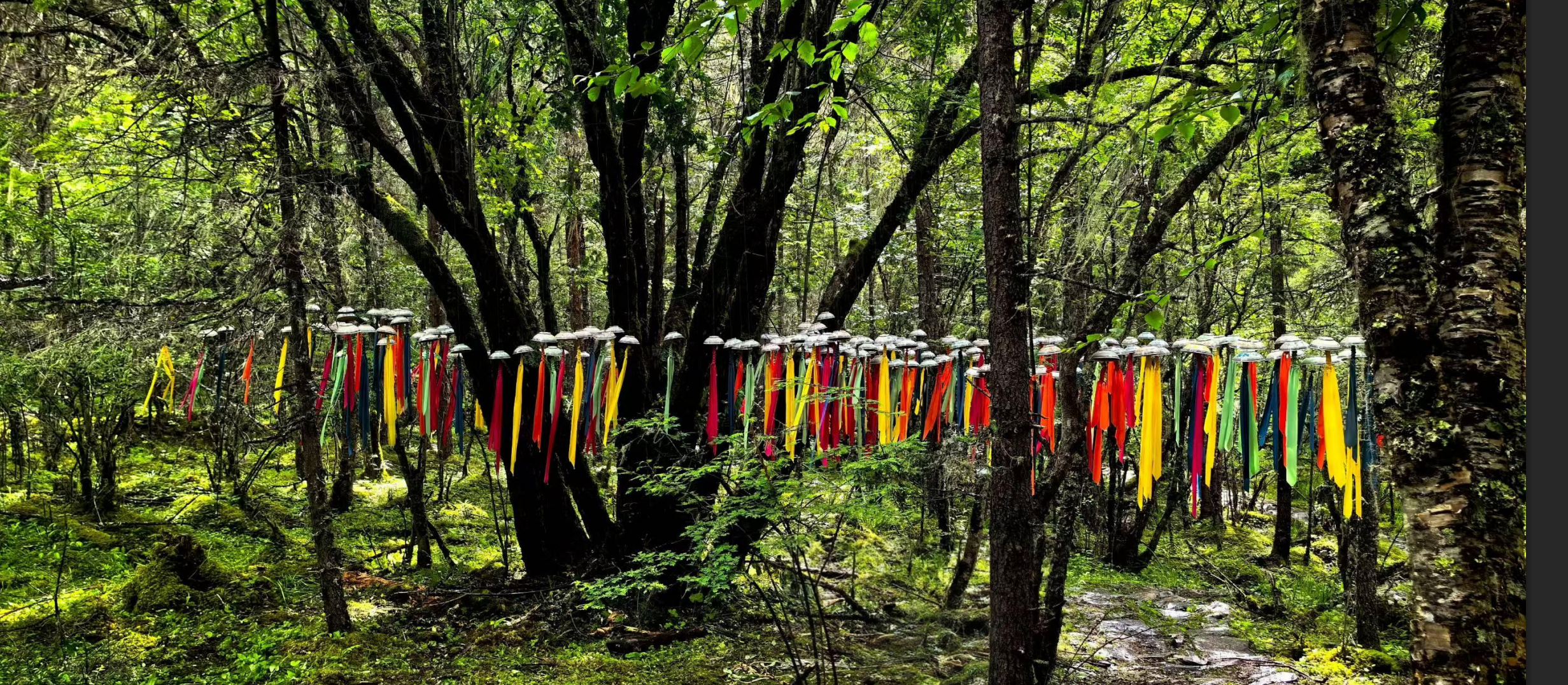 首届生态艺术季